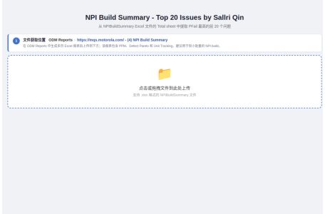 NPI Build Summary - Top 20 Issues Tool